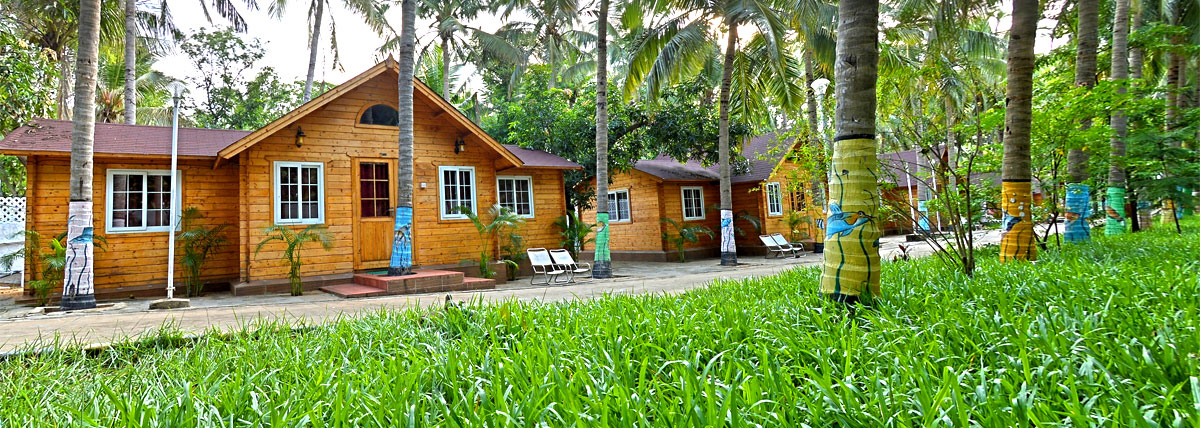 Wooden cottages amidst greenish lawn in Bluebay beach resort